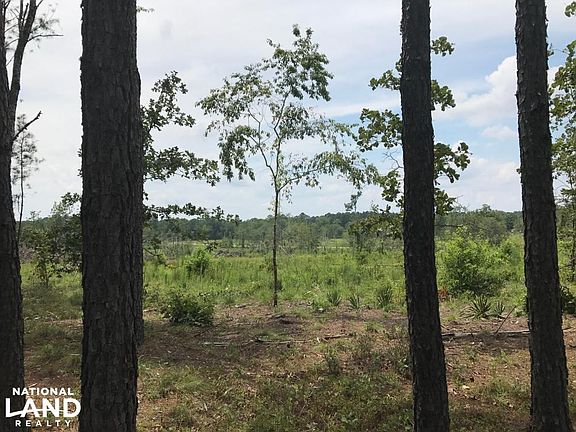 Excellent hilltop views.  GeorgiaLandForSale