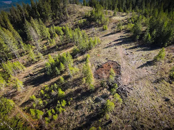Nna Kacy Bear Ln Lot 4, Priest River, ID 83856