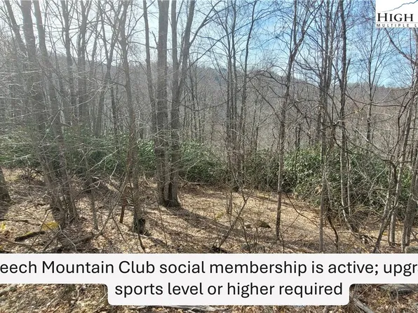 327 Locust Ridge Road, Beech Mountain, NC 28604