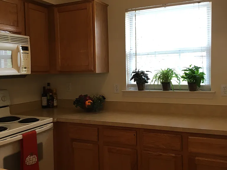 1376 Village Dr — Photo 8