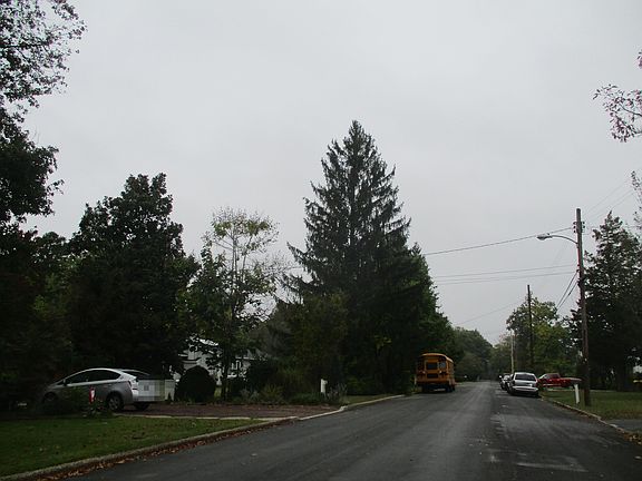 5th image of 526 Bainbridge Ave