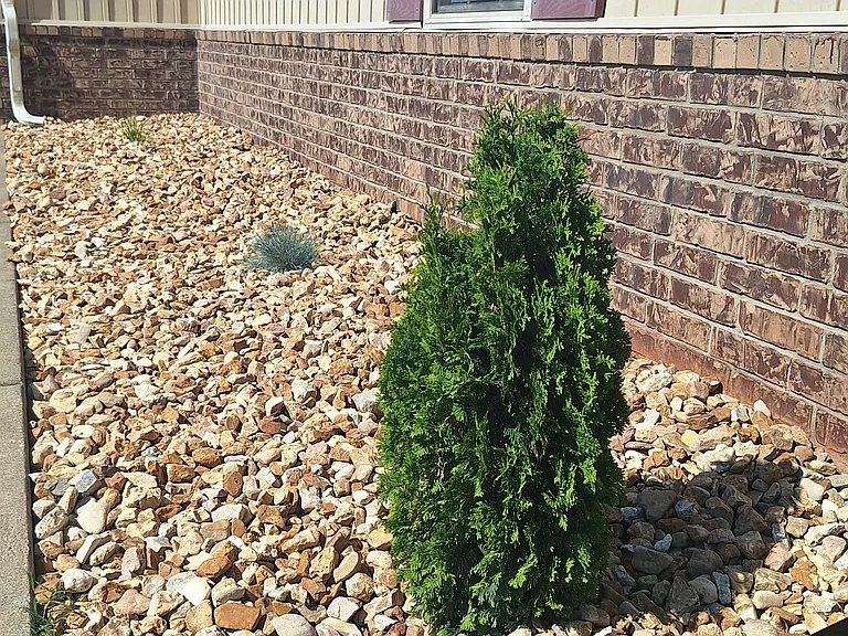 Collins Point Apartments — Photo 12