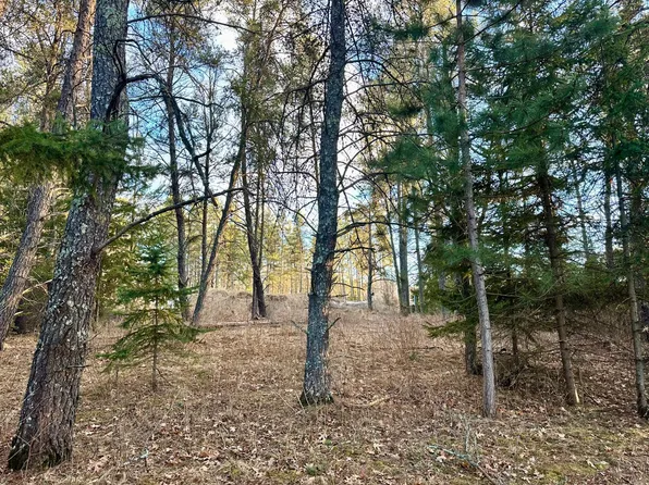Tbd E Blueberry River Dr, Menahga, MN 56464