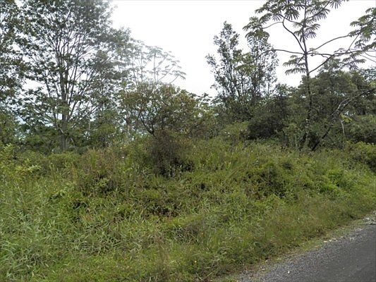 3rd image of Lot 884