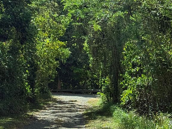 4th image of 23 Orange Grove WE
