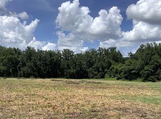 2305 Gainer Ln, Plant City, FL 33567