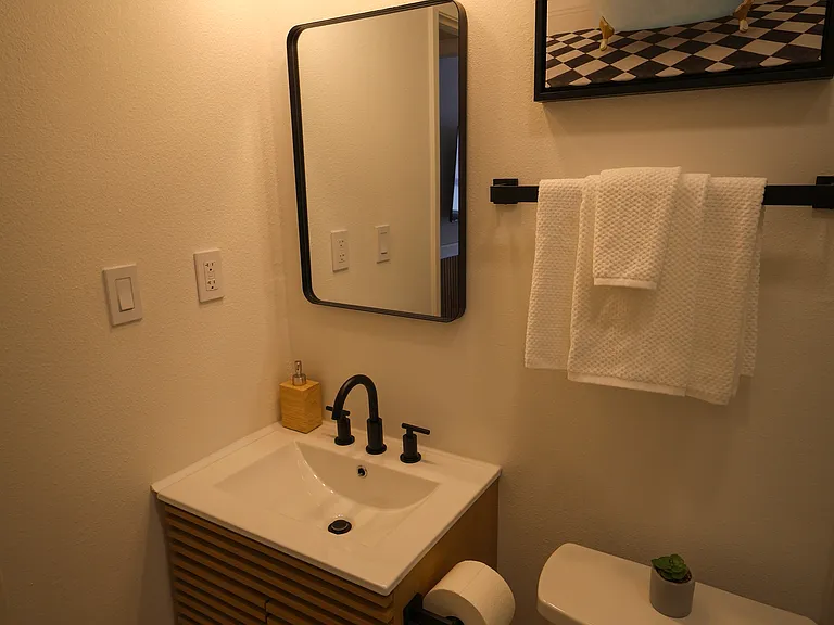 Bathroom has single sink, elongated toilet and stand-up shower with sliding glass doors.