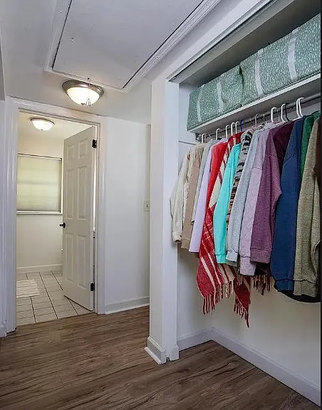 907 Rhue Haus Ln — Photo 17