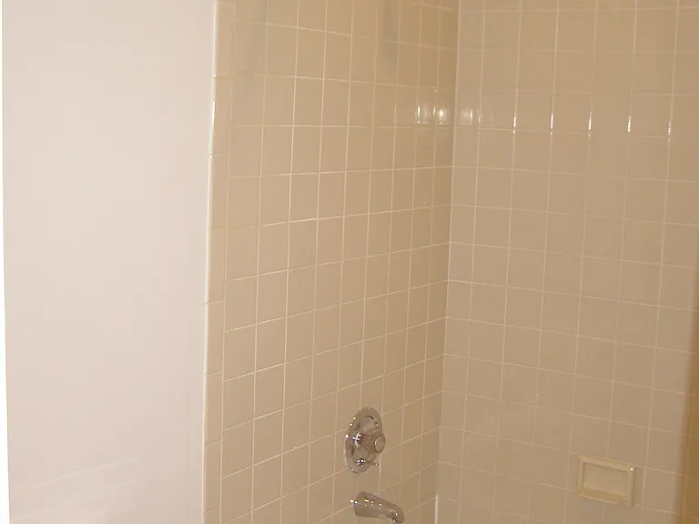 517 Shady Ave #12 — Photo 6