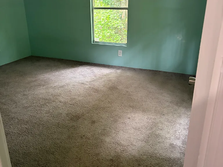 950 Buddys Choice — Photo 30