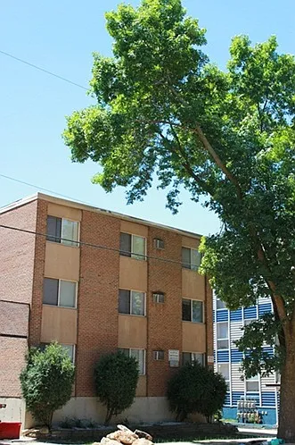 1315 Spring St — Photo 10