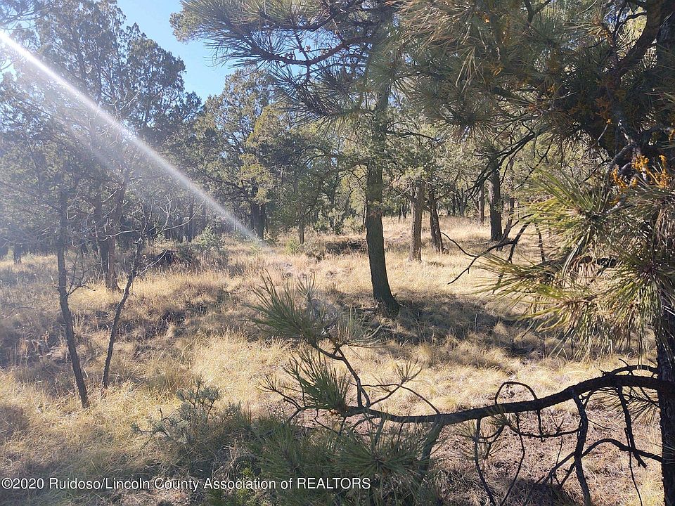 2nd image of 209 Alpine Meadows Trl