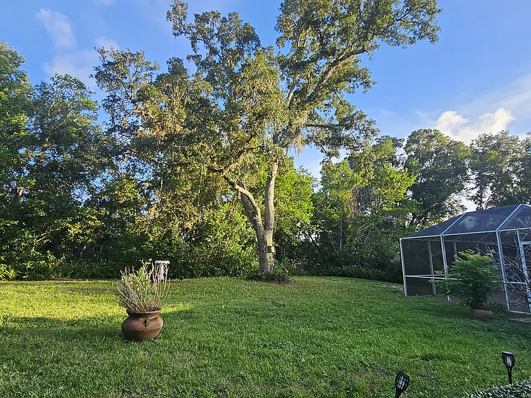 From back yard looking towards screenroom
