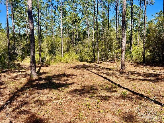 2nd image of LOT 76 Naturewalk Dr