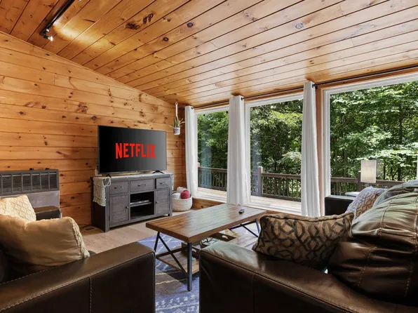 1390 Snake Nation Rd #Id1310911p, Blue Ridge, GA 30513