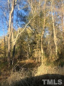 Old Pleasant Dr LOT 21, Hillsborough, NC, 27278