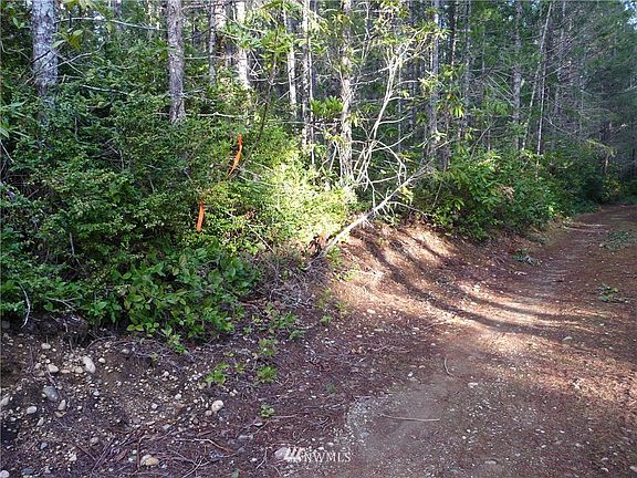 3rd image of 0 Tr 23 NE Dewatto Hills Road