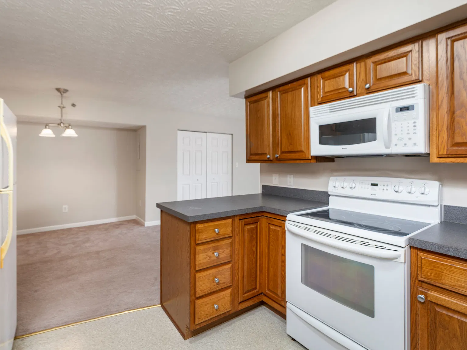 1 bed, 1150 sqft, $1,295 — Photo 4