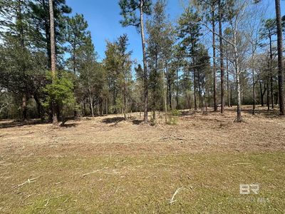 0 Steelwood Ridge Rd LOT 48, Loxley, AL, 36551