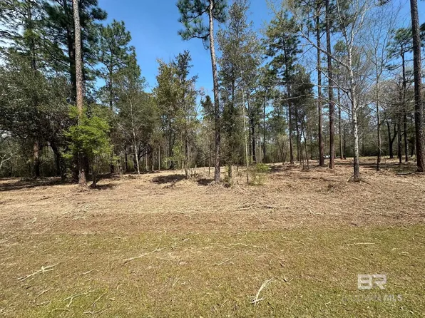 0 Steelwood Ridge Rd Lot 48, Loxley, AL 36551