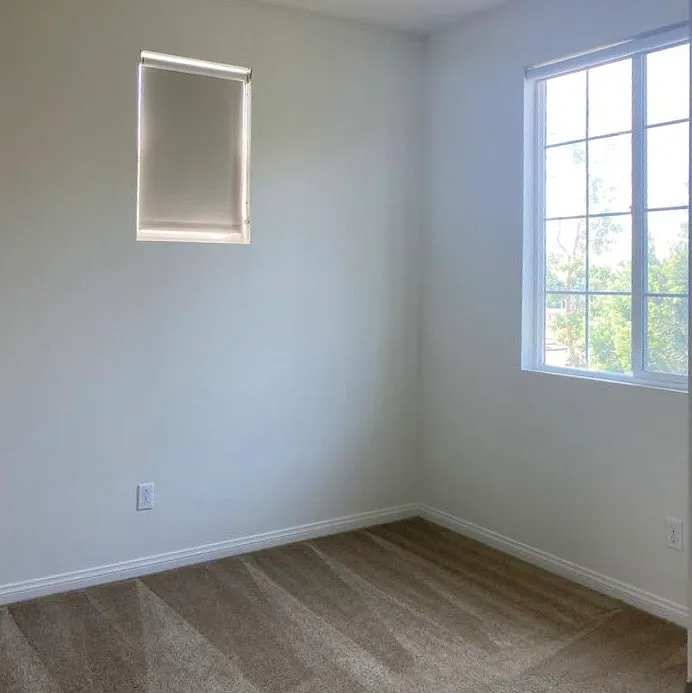 8567 Cava Drive - 8567 — Photo 4