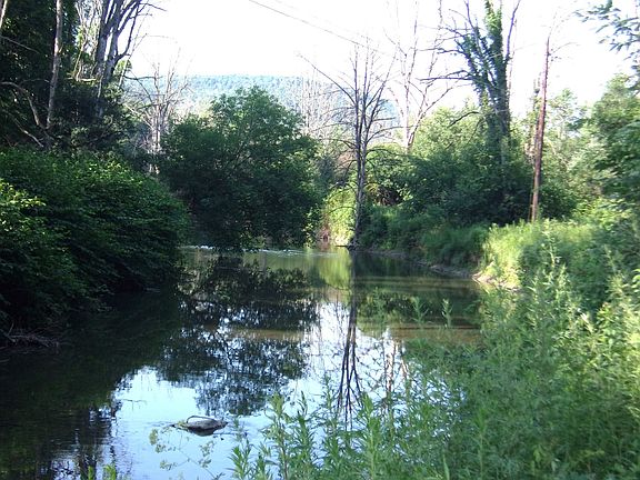 3rd image of 0 Gridleyville Rd