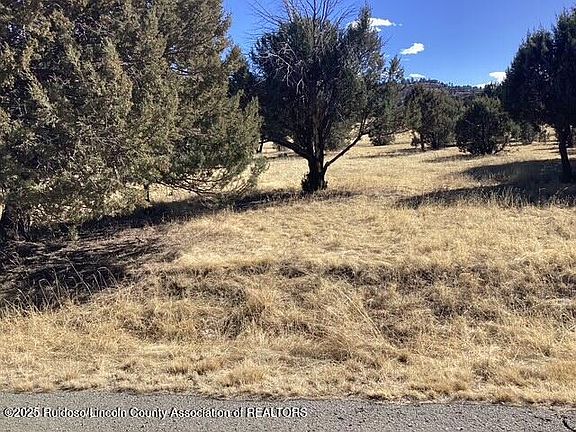 3rd image of LOT 225 Antler Dr