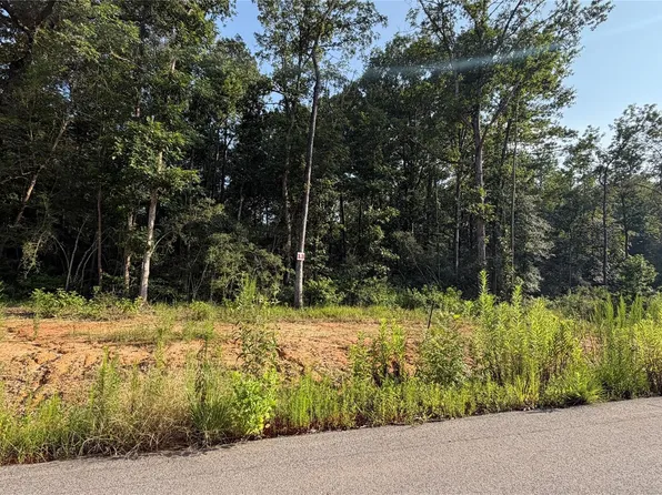 241 Kings Ct Lot 13, Dayton, TX 77535