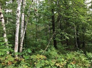 LOT 1 W Brandt Rd, Hayward, WI 54843