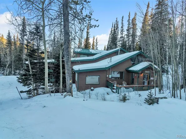 96 Pratt Place, Alma, CO 80420