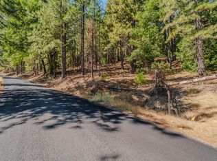 27081 Dew Drop Rd, Pioneer, CA 95666
