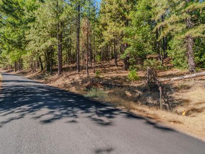 27081 Dew Drop Rd, Pioneer, CA, 95666