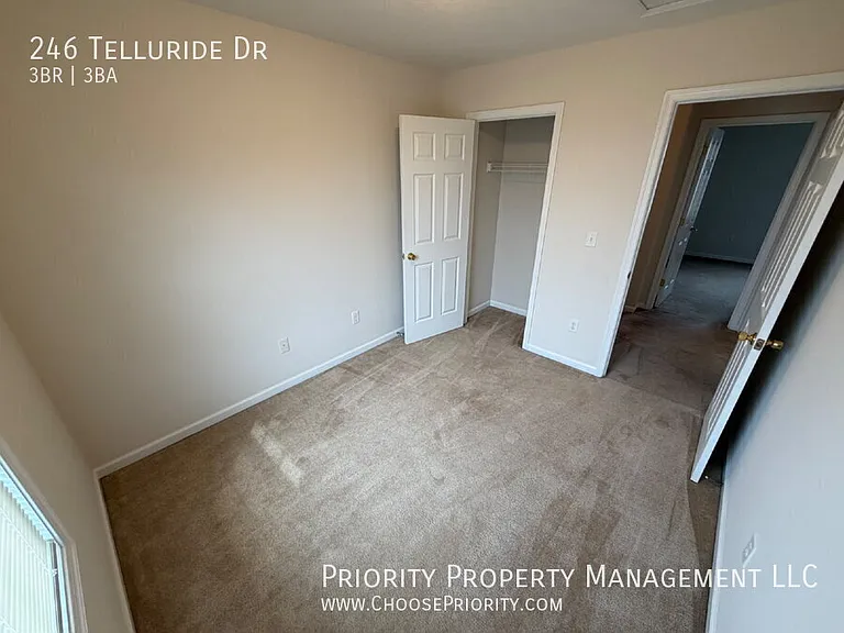 246 Telluride Dr — Photo 16