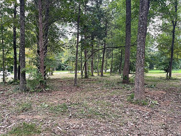 4th image of 41 Odessa Dr