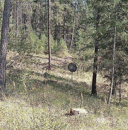 2nd image of 346 Old Dominion Rd