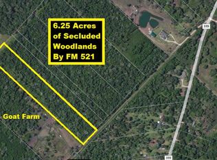 18155 County Road 319, Brazoria, TX 77422