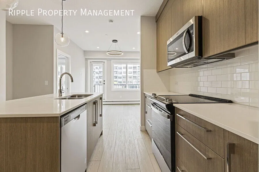 Modern 2 Beds, 1 Baths Apartment/Condo | 2 Pets Allowed. 20lbs Max — Photo 3