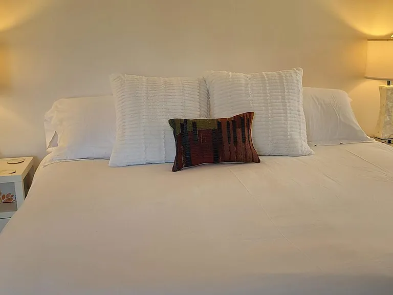 4450 A1A #102 — Photo 13
