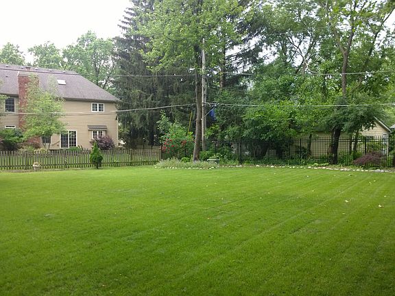 Backyard 2 