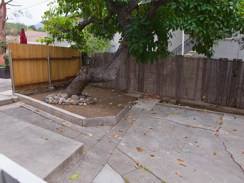 1 bed, 350 sqft, $1,700 — Photo 2