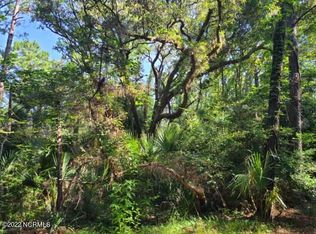 61 Dowitcher Trl, Southport, NC 28461