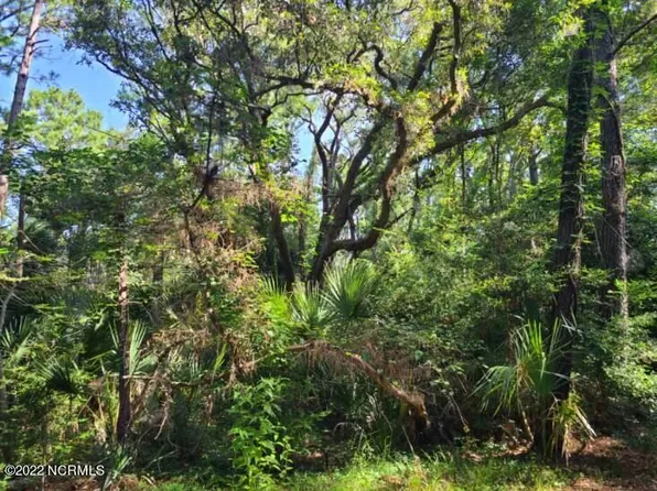 61 Dowitcher Trail, Bald Head Island, NC 28461