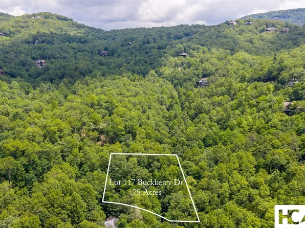 117 Buckberry Drive, Sapphire, NC 28774