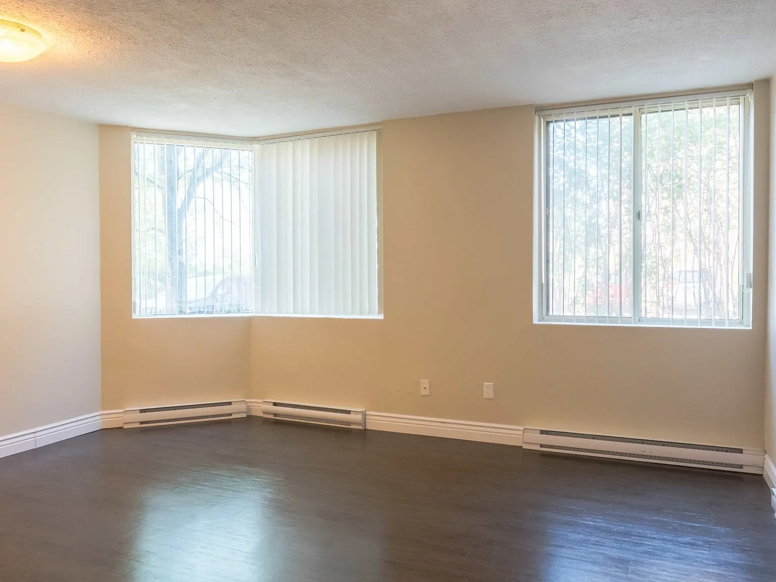 Model - 627 MacDonald Ave — Photo 4