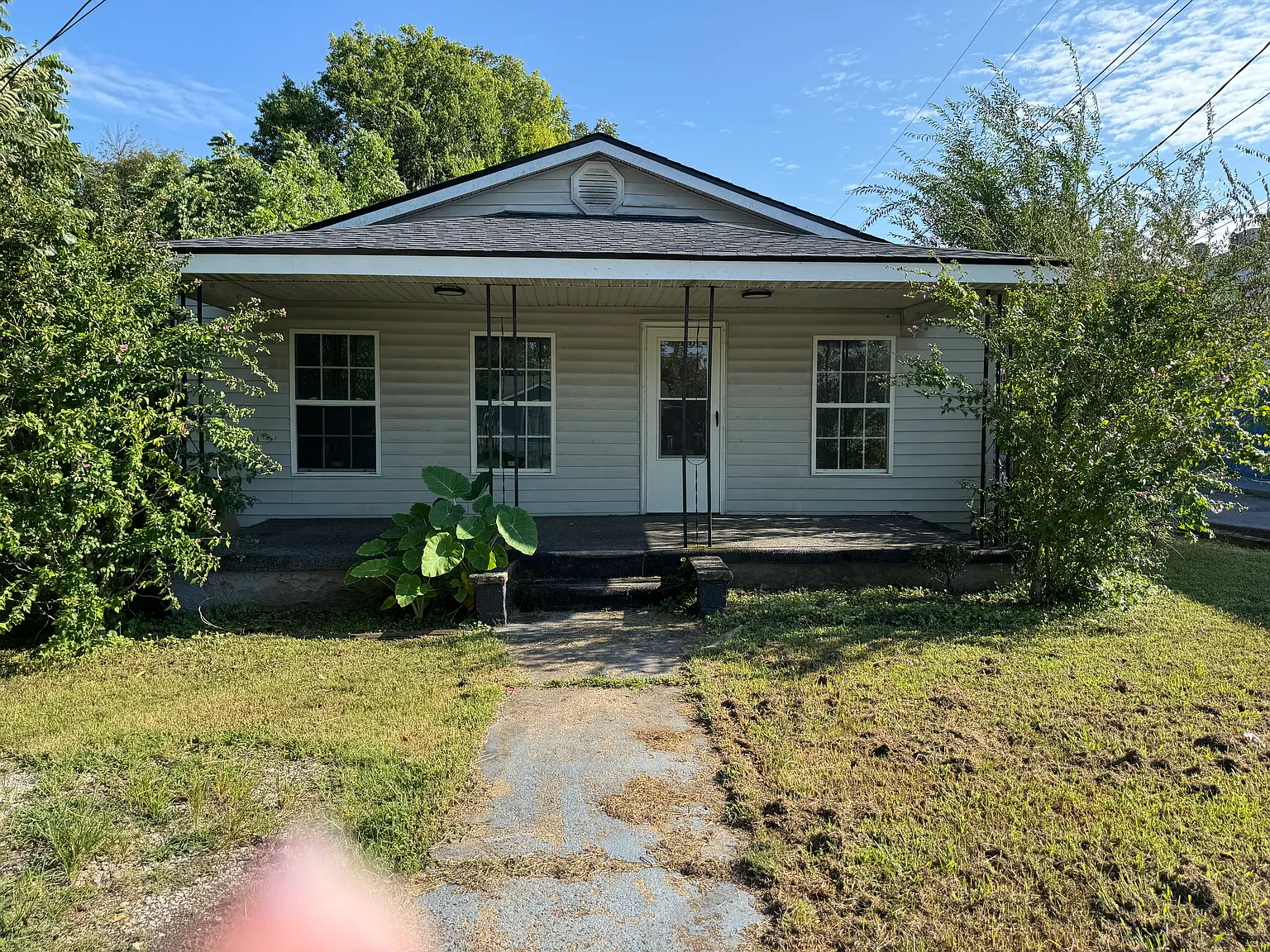 3 bed, $1,600 — Photo 1