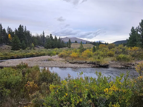 700 Looney Lane, Alma, CO 80420