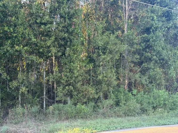 0 Hillcrest Loop, Petal, MS 39465