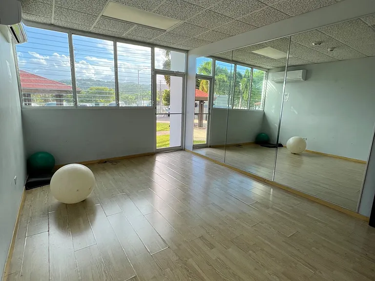 155 Calle Jose R Carazo Condominio #4D — Photo 12