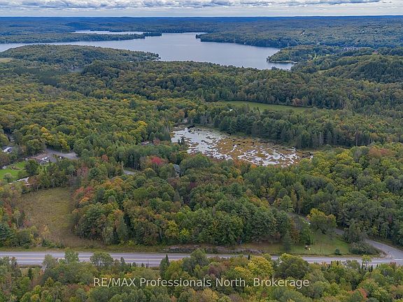 2nd image of 42 Morgans Rd