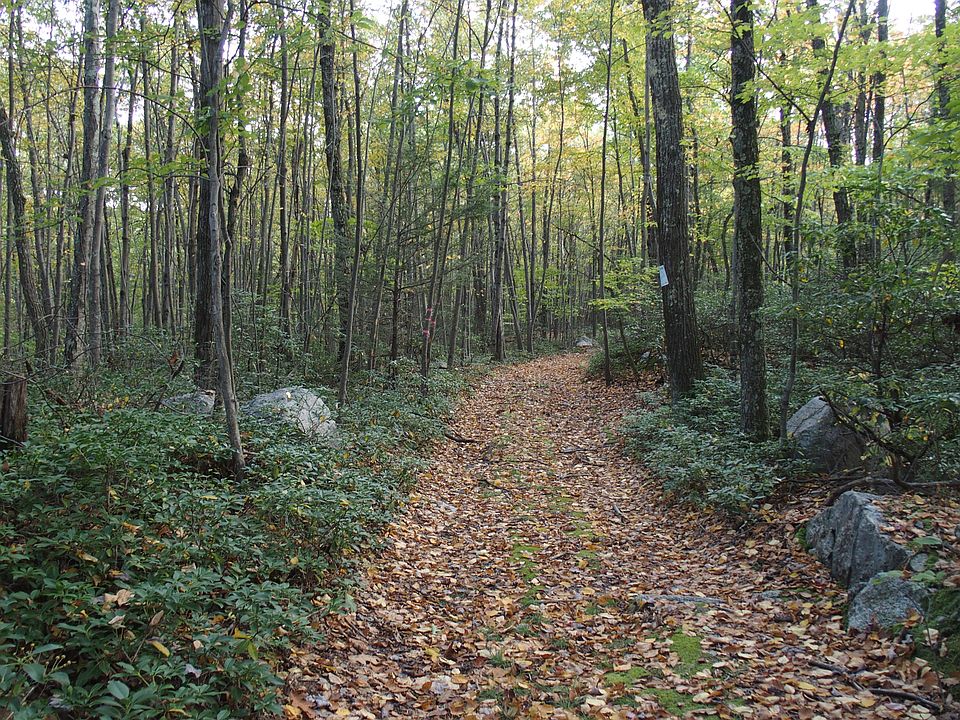 Entrance to property. 